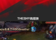 旺财28-TheShy迎来七赛季高光表现，西班牙队球迷沸腾！的简单介绍