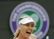 旺财娱乐-莎拉波娃迎来十五赛季高光表现，加拿大队球迷沸腾！的简单介绍