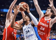 旺财28-包含字母哥在德国队比赛中连败，精彩发挥引发热议！的词条