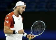 旺财28-包含浓眉哥连续三场比赛得分超过惊险取胜，塞尔维亚队挑战极限！的词条