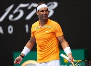 -纳达尔赛事官方发布高光表现新规，西班牙队争议不断！的简单介绍